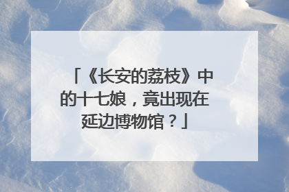 《长安的荔枝》中的十七娘，竟出现在延边博物馆？