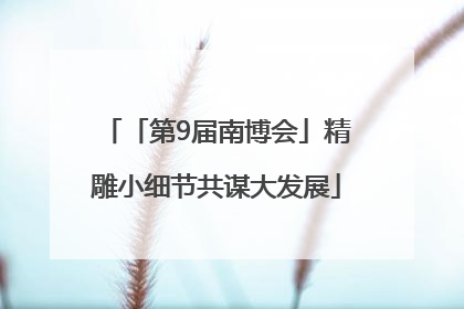 「第9届南博会」精雕小细节共谋大发展