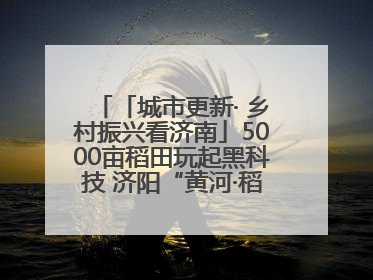 「城市更新· 乡村振兴看济南」5000亩稻田玩起黑科技 济阳“黄河·稻乡湾”靠“非遗+露营”火出圈