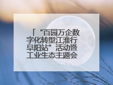 “百园万企数字化转型江淮行阜阳站”活动暨工业生态主题会议成功举办
