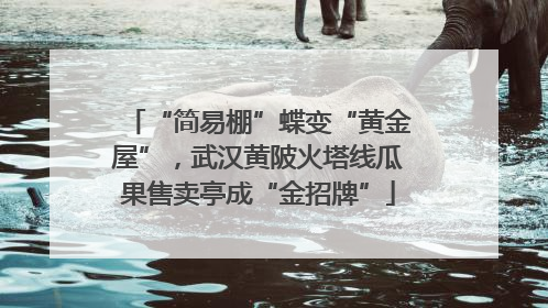 “简易棚”蝶变“黄金屋”，武汉黄陂火塔线瓜果售卖亭成“金招牌”