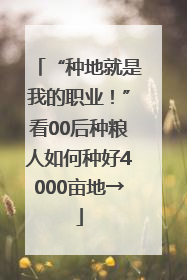 “种地就是我的职业！”看00后种粮人如何种好4000亩地→