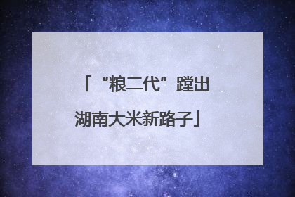 “粮二代”蹚出湖南大米新路子