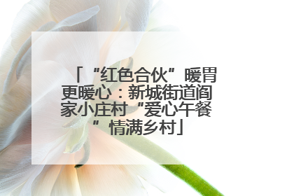 “红色合伙”暖胃更暖心：新城街道阎家小庄村“爱心午餐”情满乡村