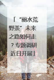 “丽水荒野茶”未来之路如何走？专题调研近日开展