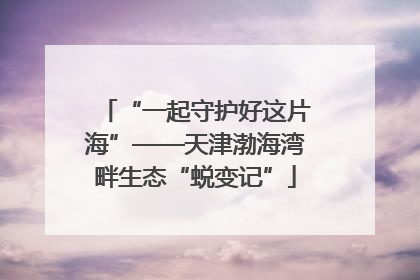 “一起守护好这片海”——天津渤海湾畔生态“蜕变记”