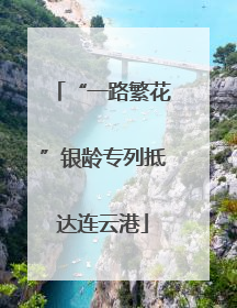 “一路繁花”银龄专列抵达连云港