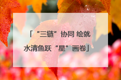 “三链”协同 绘就水清鱼跃“星”画卷
