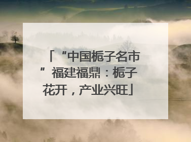 “中国栀子名市”福建福鼎：栀子花开，产业兴旺