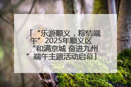 “乐游顺义，粽情端午”2025年顺义区“和满京城 奋进九州”端午主题活动启幕