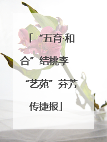 “五育·和合”结桃李 “艺苑”芬芳传捷报