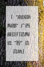 “南国新陶都”广西藤县打造陶瓷“智”造高地