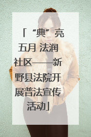 “典”亮五月 法润社区——新野县法院开展普法宣传活动