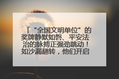 “全国文明单位”的奖牌静默如磐、平安法治的脉搏正强劲跳动！如沙漏翻转，他们开启了全新的计时