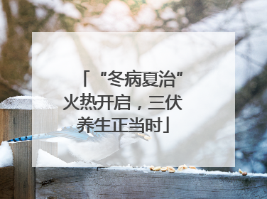 “冬病夏治”火热开启，三伏养生正当时
