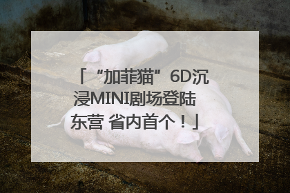 “加菲猫”6D沉浸MINI剧场登陆东营 省内首个！