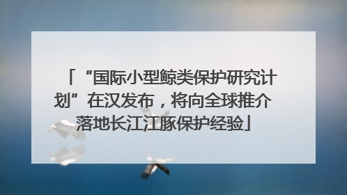“国际小型鲸类保护研究计划”在汉发布，将向全球推介落地长江江豚保护经验