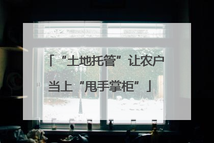 “土地托管”让农户当上“甩手掌柜”