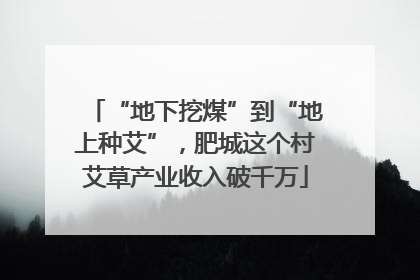 “地下挖煤”到“地上种艾”，肥城这个村艾草产业收入破千万