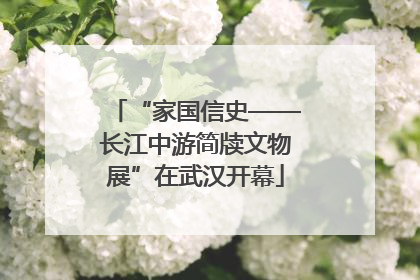 “家国信史——长江中游简牍文物展”在武汉开幕