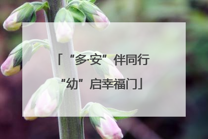 “多·安”伴同行 “幼”启幸福门