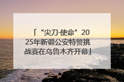 “尖刀·使命”2025年新疆公安特警挑战赛在乌鲁木齐开幕