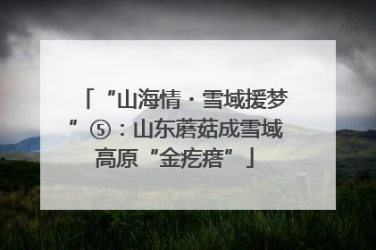 “山海情・雪域援梦”⑤：山东蘑菇成雪域高原“金疙瘩”