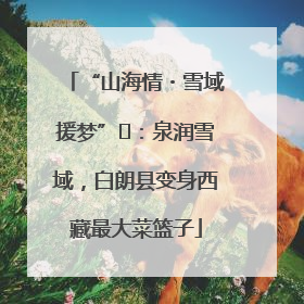 “山海情・雪域援梦”⑪：泉润雪域，白朗县变身西藏最大菜篮子