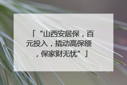 “山西安居保，百元投入，撬动高保额，保家财无忧”