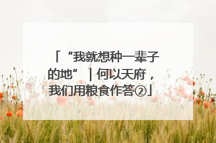 “我就想种一辈子的地”｜何以天府，我们用粮食作答②