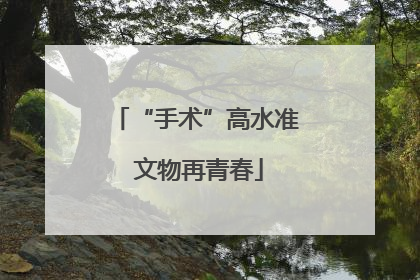 “手术”高水准 文物再青春