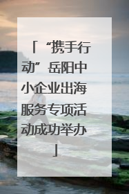 “携手行动”岳阳中小企业出海服务专项活动成功举办