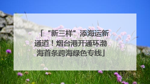 “新三样”添海运新通道！烟台港开通环渤海首条跨海绿色专线