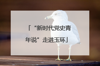 “新时代党史青年说”走进玉环