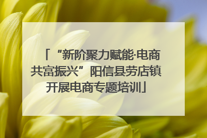 “新阶聚力赋能·电商共富振兴”阳信县劳店镇开展电商专题培训