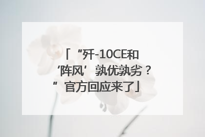 “歼-10CE和‘阵风’孰优孰劣？”官方回应来了