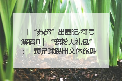 “苏超”出圈记·符号解码㉛｜“宠粉大礼包”：一颗足球踢出文体旅融合“链式反应”