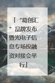 “葛创汇”品牌发布暨光电子信息专场投融资对接会举行