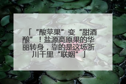 “酸苹果”变“甜酒酿”！盐源高原果的华丽转身，靠的是这场浙川千里“联姻”