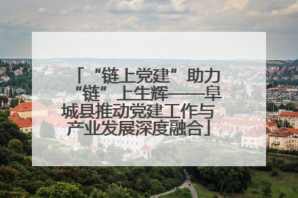 “链上党建”助力“链”上生辉——阜城县推动党建工作与产业发展深度融合