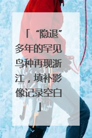 “隐退”多年的罕见鸟种再现浙江，填补影像记录空白