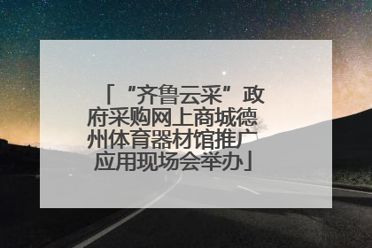 “齐鲁云采”政府采购网上商城德州体育器材馆推广应用现场会举办