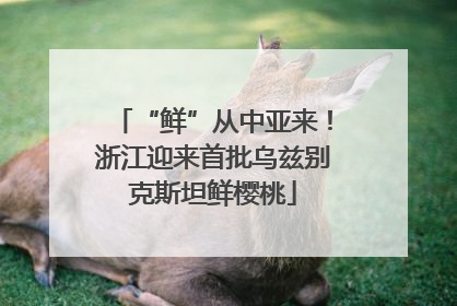 “鲜”从中亚来！浙江迎来首批乌兹别克斯坦鲜樱桃