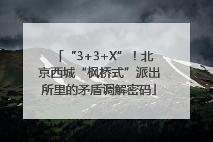 “3+3+X”！北京西城“枫桥式”派出所里的矛盾调解密码