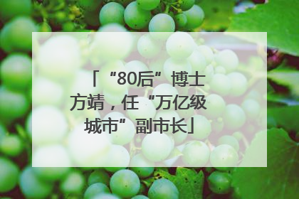 “80后”博士方靖，任“万亿级城市”副市长