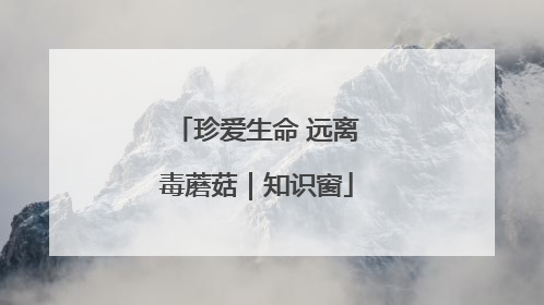 珍爱生命 远离毒蘑菇｜知识窗
