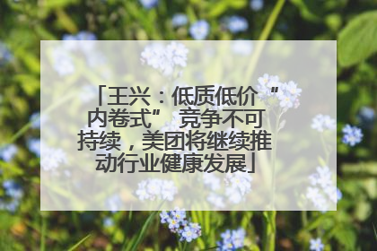 王兴：低质低价“内卷式” 竞争不可持续，美团将继续推动行业健康发展