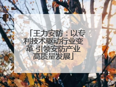 王力安防：以专利技术驱动行业变革 引领安防产业高质量发展