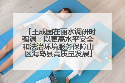 王成国在丽水调研时强调：以更高水平安全和法治环境服务保障山区海岛县高质量发展