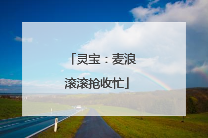 灵宝：麦浪滚滚抢收忙